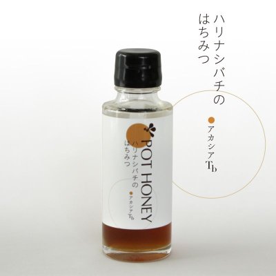 画像1: アカシアTb 130g【ハリナシ蜂はちみつ】30g増量！ (1)