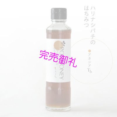 画像1: アカシアTb 250g【甘酸っぱいハリナシ蜂の非加熱はちみつ】 (1)