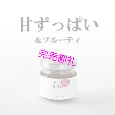 画像1: 百花蜜 40g【甘酸っぱいハリナシ蜂の非加熱はちみつ】 (1)