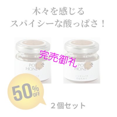 画像1: 50%OFF★アカシアTb 40g×2個セット【ハリナシ蜂はちみつ】賞味期限2024年7月 (1)