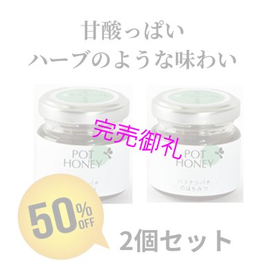 画像1: 60%OFF★アカシアHi 40g×2個セット【ハリナシ蜂はちみつ】賞味期限2024年7月 (1)