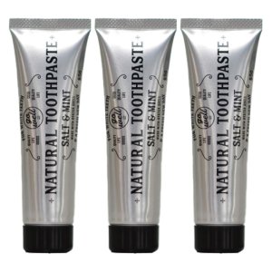 画像1: 送料無料商品【ゴーウェル 85g】ナチュラルトゥースペースト★ソルト＆ミント★オーガニックコスメの第一人者、小松和子さんがつくった歯みがき粉 (1)