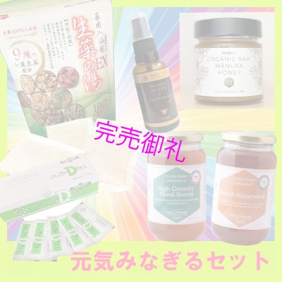 画像1: 元気みなぎるセット (1)