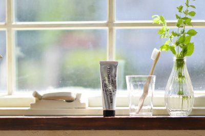 画像1: 送料全国一律500円【ゴーウェル 85g】ナチュラルトゥースペースト★ソルト＆ミント★オーガニックコスメ第一人者、小松和子さんがつくった歯みがき粉 (1)