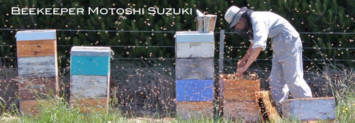 蜂蜜の輸送と温度管理について