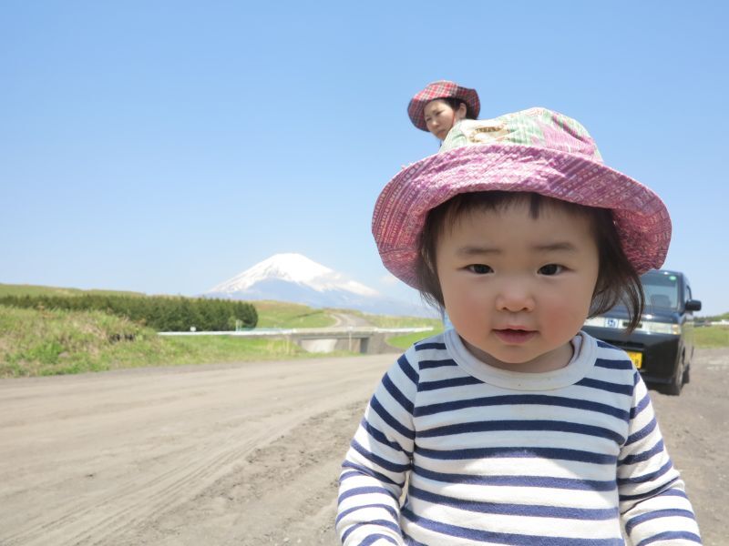 クエン酸について東北弁風で伝えてみました