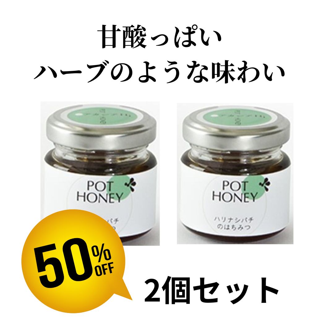 60%OFF★アカシアHi 40g×2個セット【ハリナシ蜂はちみつ】賞味期限2024年7月